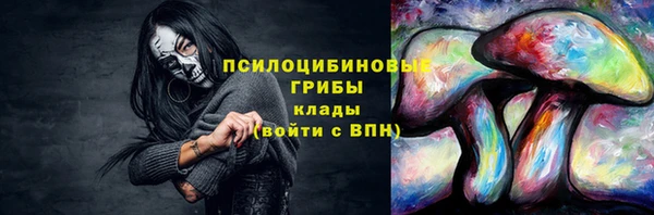 СК Беломорск