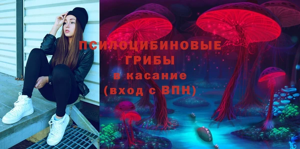 spice Белокуриха
