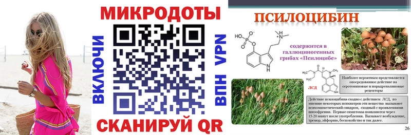 kraken рабочий сайт продажа наркотиков Велиж Галлюциногенные грибы Psilocybe